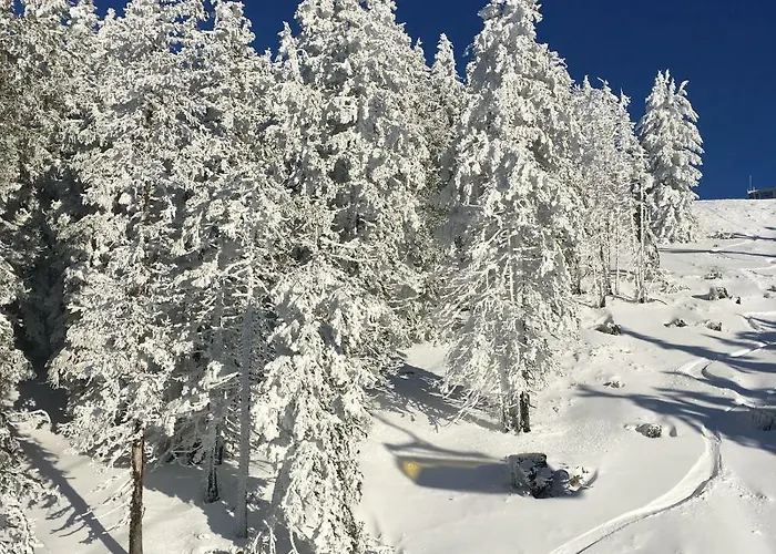 Impuls | Aparts Daire *